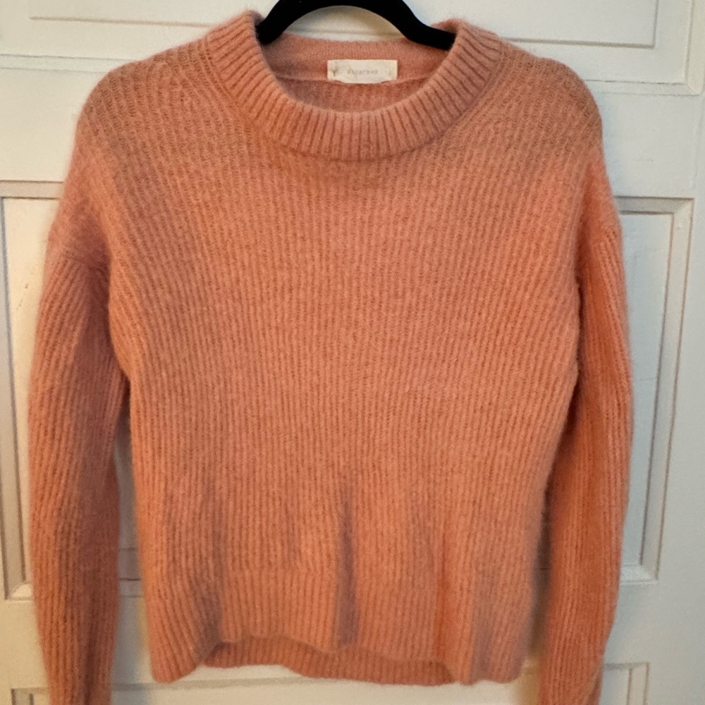 Everlane Soft Pink Crew Neck Sweater